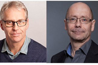 Skogen og Hole.png