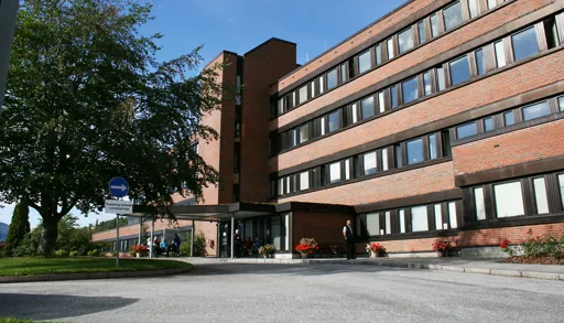 En stor bygning med et tre foran seg